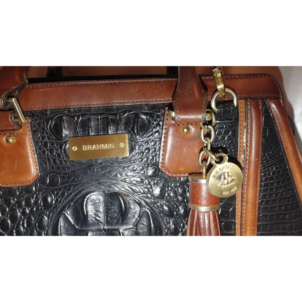 Brahmin Arden Tortoise Melbourne Satchel